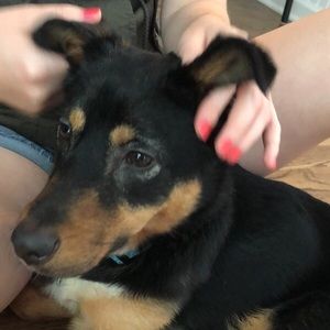 Meet your Posher, Makeup